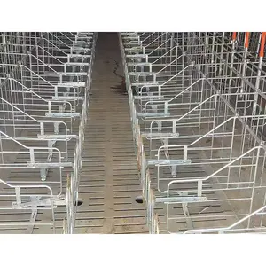 Smooth surface hot dip galvanized and customized gestation crates for pigs pig cage farrowing pen sows place stall