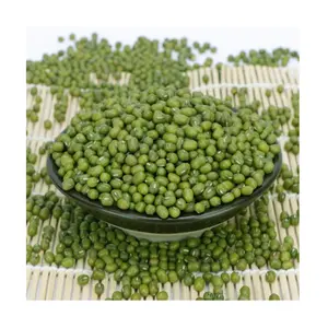 Size 2.8mm-4.2mm Green Mung Bean 2022 New Crop Green Mung Beans Wholesale