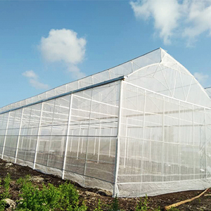 Invernadero de techo de mariposa Ventilación mejorada Estructura duradera Acero galvanizado Disponible <span class=keywords><strong>Agricultura</strong></span> <span class=keywords><strong>hidropónica</strong></span> pequeña y grande - Product Image 1
