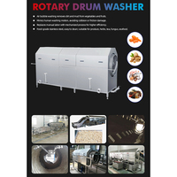 Borstelrol Schil- en Wasmachine voor Aardappel, Gember, Lotuswortel, Papaya en Zoete Aardappel