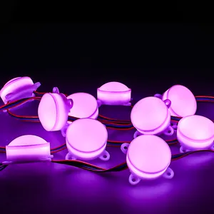 Bán Nóng Ngoài Trời Cách Sử Dụng Quảng Cáo <span class=keywords><strong>45Mm</strong></span> Pixels 9 Leds Smd 5050 2801 RGB Dc24vled Mô-đun Điểm Ảnh Ánh Sáng - Product Image 1