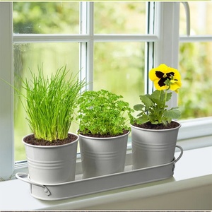 Decorazione funzionale fioriera per interni Kit di <span class=keywords><strong>piante</strong></span> in metallo vaso di fiori per bambini e fiori per casa Set di vasi per erbe - Product Image 4