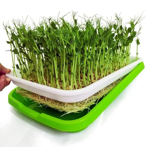 Bandeja de cultivo de vivero Microgreens, bandeja de germinación de <span class=keywords><strong>semillas</strong></span> de jardín de plástico PP con drenaje, bandeja de siembra de verduras, caja de cultivo de plántulas - Product Image 2