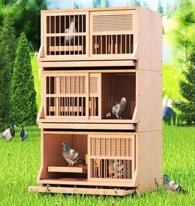 Milieuvriendelijke duivennestcombinatie, renkooi voor duivenfokkerij, grote houten buitenkooi, wandlamp - Product Image 4