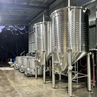 Fermenteur à vin à fond conique et ouverture supérieure avec réservoir de stockage à capacité variable