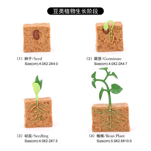 Figurines d'animaux en PVC solide en gros, figurines du cycle de vie des plantes - Product Image 5