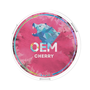 Boîtes et sachets de snus portables en plastique ABS OEM 2026 – Couleurs personnalisées – Vente en gros - Product Image 1