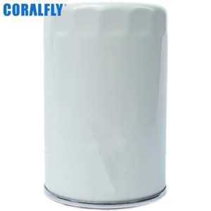 Filtro de Combustible para Camión Coralfly de Alta Calidad, Pieza de Repuesto 1001120353 para Weichai YINGZHI, Certificado ISO/TS 16949 - Product Image 1