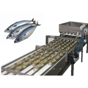 high quality tilapia fish canning plant