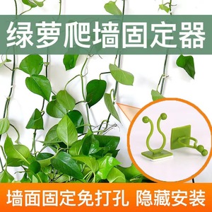 Clip mural en plastique Chcc Pothos pour plantes grimpantes, support pour décoration intérieure végétale - Product Image 3