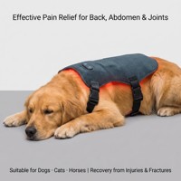 Bandeau de thérapie par lumière rouge pour animaux de compagnie 660nm 850nm, coussin LED infrarouge pour la récupération musculaire des pattes de chien et de cheval, usine OEM