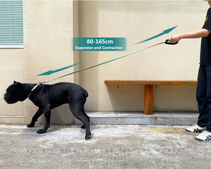 Correa personalizable popular barata a prueba de explosiones para perros grandes y <span class=keywords><strong>collar</strong></span> ajustable al por mayor de cuerda para mascotas - Product Image 6