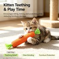 Jouets pour chats en sisal, motif dessin animé, bâton de carotte amusant pour les dents, résistant aux morsures et aux griffures, fournitures pour animaux de compagnie