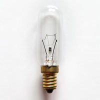 Ampoules micro-ondes E14 E17 B15 40 watts, ampoules tubulaires T8 à haute résistance à la température, ampoules incandescentes T25, mini ampoule pour réfrigérateur, pour four