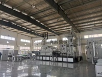 Feutre épais non-tissé industriel de fibre de laine de mouton d'usine professionnelle de la Chine faisant la machine