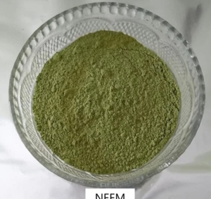 Polvo de Hojas de Neem Natural, Polvo Herbal Seco de Textura Fina, Ingrediente a Base de Plantas, Forma Pura y Cruda, Producto Herbal de Uso Diario - Product Image 2