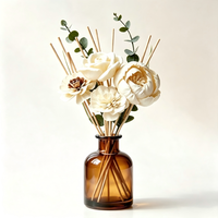 Diffuseur de parfum d'ambiance en bois de Sola naturel avec bâtonnets en rotin, accessoire décoratif pour aromathérapie en bouteille de verre