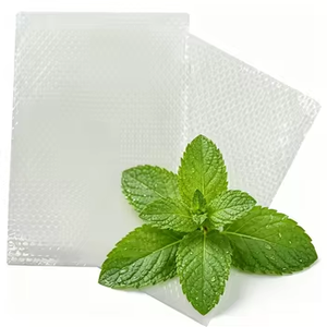 Parche Alternativo de Hidrogel con Logotipo Personalizado, Antiinflamatorio, Calmante, Sin Efectos Secundarios, Suave, de Larga Duración, 12 Parches - Product Image 4