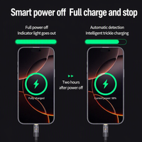 Câble de charge rapide USB A vers Type C 100W 6A, cordon de chargeur tressé avec indicateur lumineux et arrêt intelligent