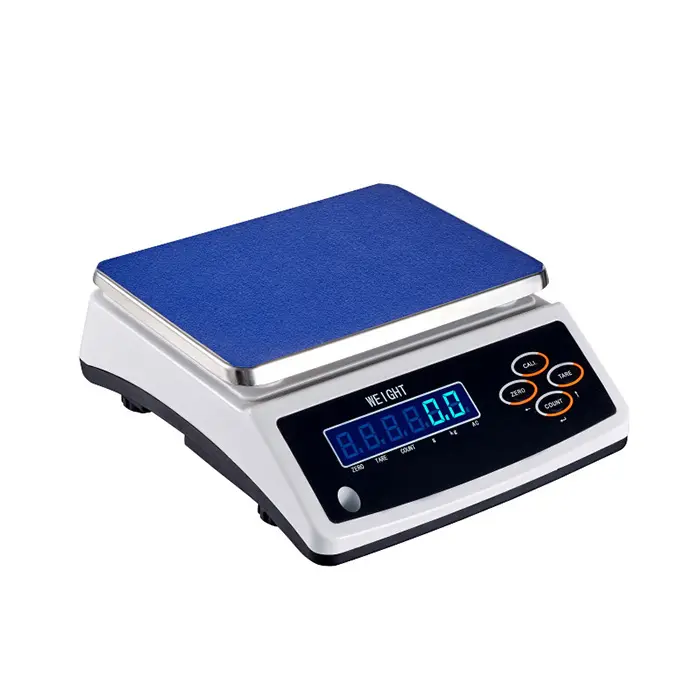 Digital Check Weighing Counting Weight Scale