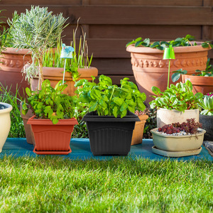 Macetas Cuadradas de Plástico PP de Alta Calidad en Oferta, Macetas Gruesas para Suculentas, <span class=keywords><strong>Cactus</strong></span> y Flores, Minimalistas para Jardín y Hogar - Product Image 4