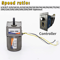Adaptador de Motor AC de 10w 220v con Controlador de Velocidad Variable y Caja de Engranajes, Venta al Por Mayor