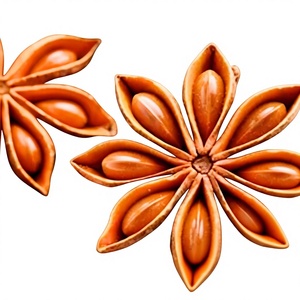 Vietnam Origin Whole Dried AD <b>Raw</b> Star Anise 2.5cm for Food & Beverage Lang Son Winter Crop - Product Image 1