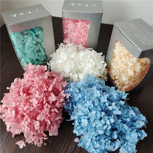 Hydrangeas Pagoda Préservées Premium à Feuilles Moyennes, <span class=keywords><strong>Fleurs</strong></span> Éternelles, Hydrangeas Véritables pour Décoration de Mariage, Matériel DIY, Cadeau, Vente en Gros - Product Image 2