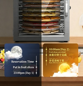 Déshydrateur alimentaire rotatif 20 plateaux 110V 220V à faible bruit pour mangues, litchis et thé - Dispositif de séchage transfrontalier - Product Image 2