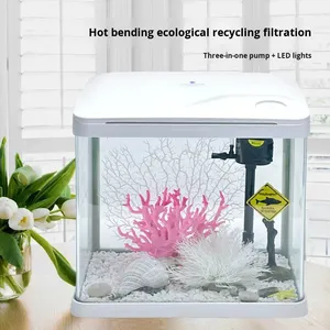 <span class=keywords><strong>Acquario</strong></span> rettangolare piccolo in PVC curvato a caldo per acquari di pesci rossi e <span class=keywords><strong>tartarughe</strong></span>, ideale per l'arredamento ecologico del soggiorno e della scrivania - Product Image 2