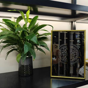 Style de décoration assorti de cabine d'ascenseur de finition mate de personnalisation carrée commerciale de cabine d'ascenseur d'acier inoxydable - Product Image 1