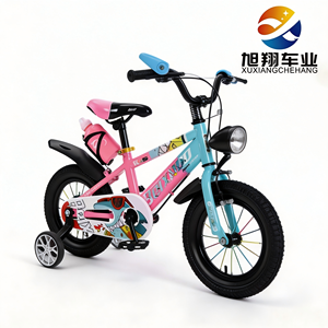 Vélo Enfant Personnalisé en Gros 12 <span class=keywords><strong>14</strong></span> 16 20 Pouces <span class=keywords><strong>BMX</strong></span> Enfant Pneus Larges 2.5 Phare Avant Porte-Bidon Arrière Corps de Vélo Couleur Dégradée Fournisseur - Product Image 1