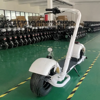 Scooter Eléctrico Citycoco 2026, 2000W/3000W, GPS, Plegable, Resistente al Agua, Batería de Litio, Autonomía de 60-100 km, Neumáticos Anchos, Estilo Chopper