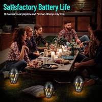 Haut-parleur Bluetooth d'extérieur haut de gamme 2-en-1 étanche avec lumière LED flamme colorée, portable sans fil pour décoration de fête