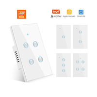 TYSH Interrupteur mural intelligent pour Tuya WiFi & BLE 1/2/3/4 Gang Concave Panel Homekit App Remote Control AI Switch avec Zigbee