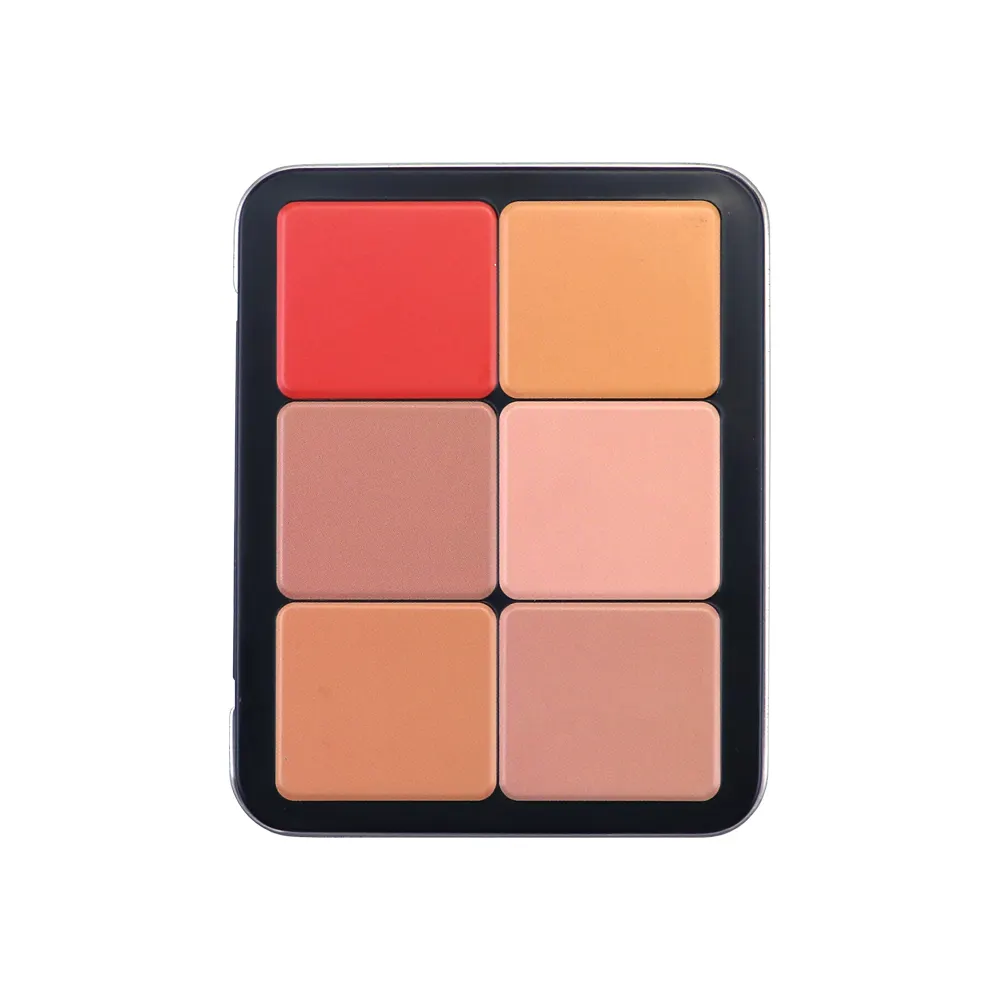 Hot Selling Custom 12 Farben erröten machen Ihre eigene Marke wasserdicht Rouge Behälter gepresst Pulver vegan matt erröten Palette