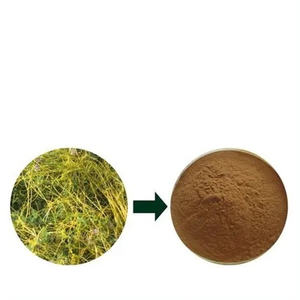 Grosir harga terbaik 100% ekstrak <span class=keywords><strong>Dodder</strong></span> alami bubuk biji Semen cuscutee - Product Image 3