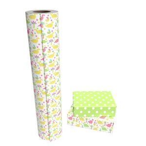 Custom Dinosaurs Polka Dots <b>Pattern</b> Recyclable <b>Paper</b> Roll 100GSM Double Side Coated PE Digital Printing Compatible <b>Paper</b> - Product Image 2