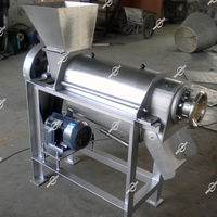 Industriële commerciële zware sapcentrifuge voor het extraheren van groenten, knoflook, gember en wortels