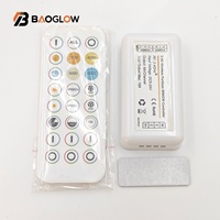 Neue Innovation 2025 Großhandel 24-Tasten Kabelloser Zweifarbiger RF-Lauflicht-LED-Mini-CCT-LED-Mini-DC-Lichtstreifen-Dimmer RF-Controller