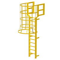 Cage de sécurité industrielle extérieure en aluminium pour chat, escabeau de conception verticale pour l'accès aux sorties de secours, usage domestique