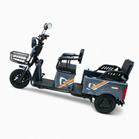 Nouveau modèle personnalisé de tricycle électrique pliable pour adultes, transport de marchandises et de passagers, vélo à 3 roues à carrosserie ouverte, offre d'exportation pour les acheteurs mondiaux