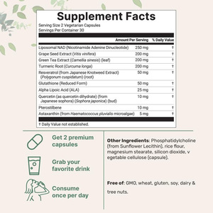 Offre Spéciale : Complément Liposomal NAD+ Premium - Formule Avancée <span class=keywords><strong>10</strong></span>-en-1, 1000mg par Portion, 60 Capsules Végétariennes - Product Image 2