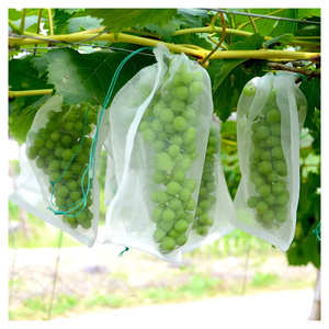 Bán Hot tái sử dụng chống côn trùng lưới lưới ổi xoài trái cây Túi bảo vệ - Product Image 3