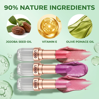 Rouge à lèvres mat végétalien longue tenue en gros, 16 couleurs au choix, marque privée, cosmétique de beauté