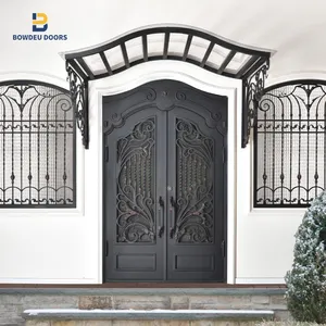2024 High Quality french exterior double glass wrought iron Interior Glass Pivot fancy security doors for home