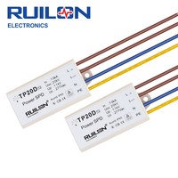Protecteur de surtension RUILON SPD 20kV pour éclairage public, alimentation électrique, dispositif de protection contre la foudre, module de protection contre les surtensions pour éclairage routier