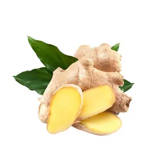 China Ginger Patch Turmeric Ginger Buy China Supplier Export Fresh Ginger