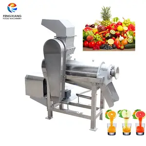 vegetable celery spinach tomato Ginger pineapple Screw Type Juicer Crushing Extractor Machine