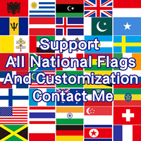Drapeau Brésilien Personnalisé 90x150cm en Polyester Double Face avec Logo Personnalisé Impression Numérique pour Événements Extérieurs Vente en Gros